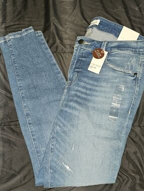 Lane Bryant Medium Blue Skinny Jeans with Subtle Distress